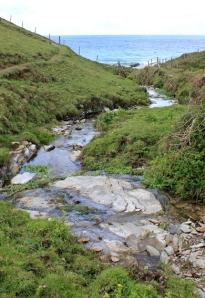 stream at Dannonchapel, Ruth's coastal walk, Cornwall