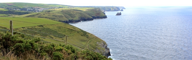  looking back to Tintagel, From Fire Beacon Point, Ruth's coastal walk