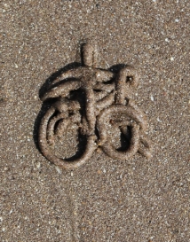 09c bicycle, worm casts, Ruth's coastal walking