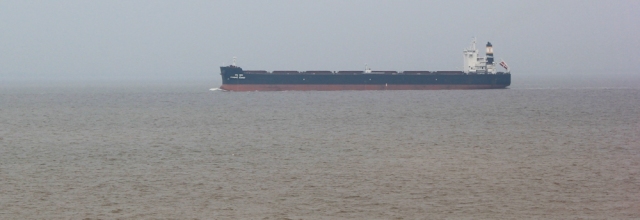 11 container ships, Bristol Channel, Ruth walking the coast