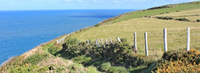 13 more coastal walking, Ruth on Pembrokeshire Coastal Path