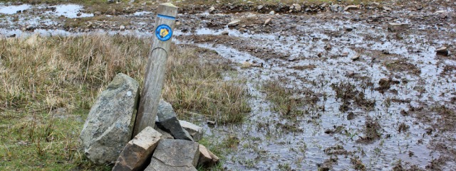 14 more mud, Ruth Livingstone in Wales