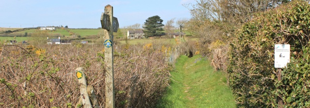 08 inland walking, Ruth's coastal walk, Anglesey