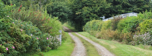 23 track around Kingscross, Ruth hiking the Arran Coastal Way, Scotland