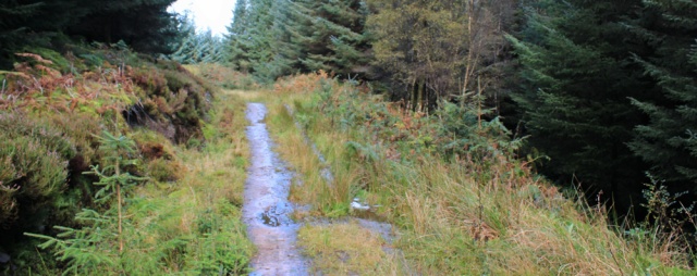 19 woodland walk, Ruth on the Isle of Arran