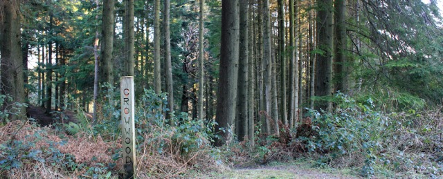 35 Crow Wood sign, Ruth hiking Carradale, Kintyre Way