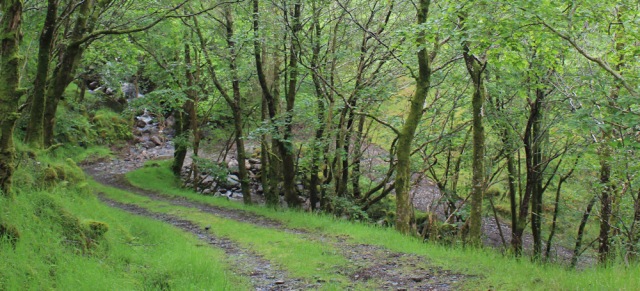 17 hairpin bends, Ruth walking down Glen Arnisdale to Corran