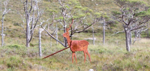 15 metal deer, path to Annat, Ruth's coastal walk around Scotland